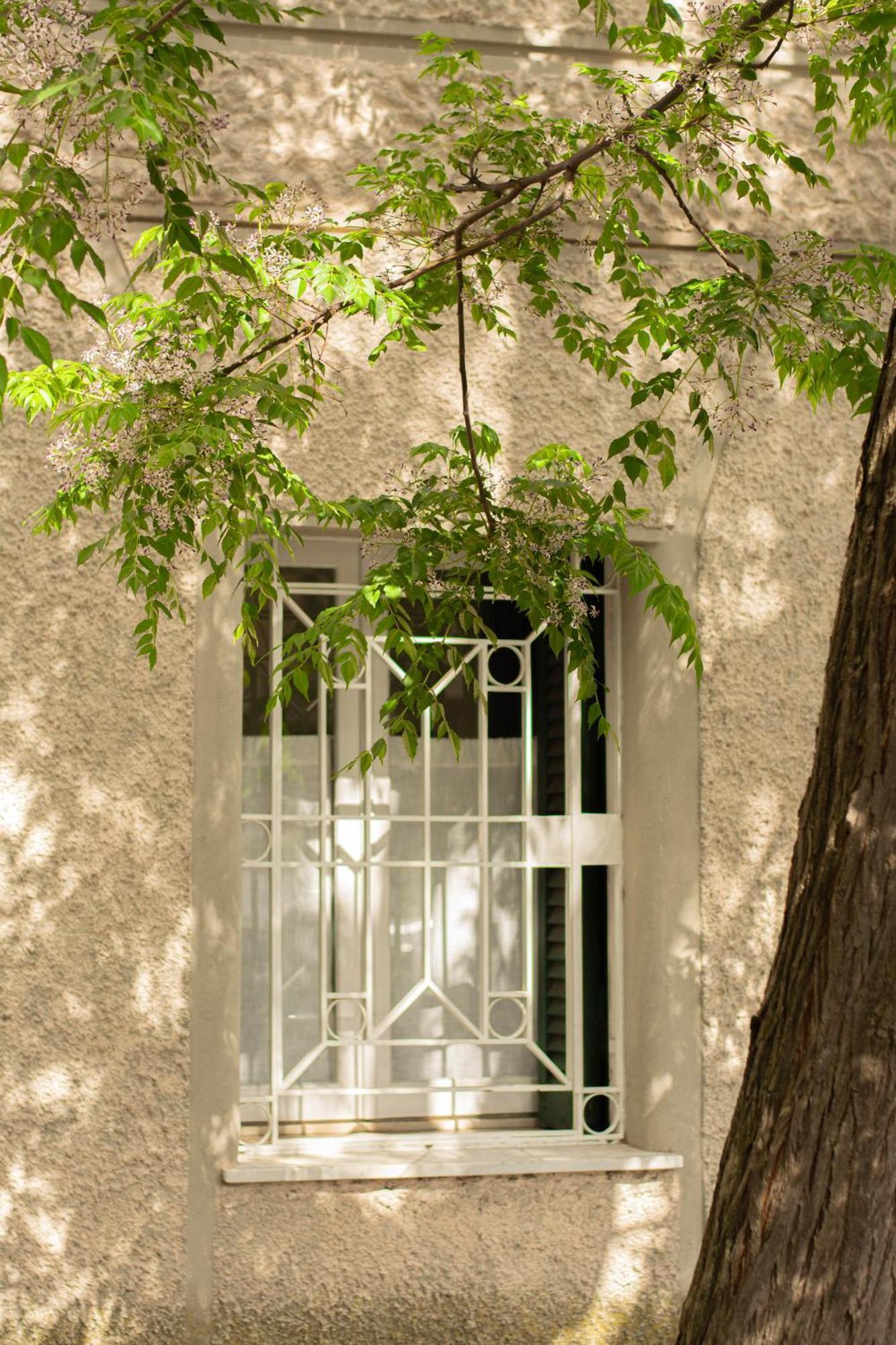 Domus Gianicolo 2B Apartment Rome Exterior photo